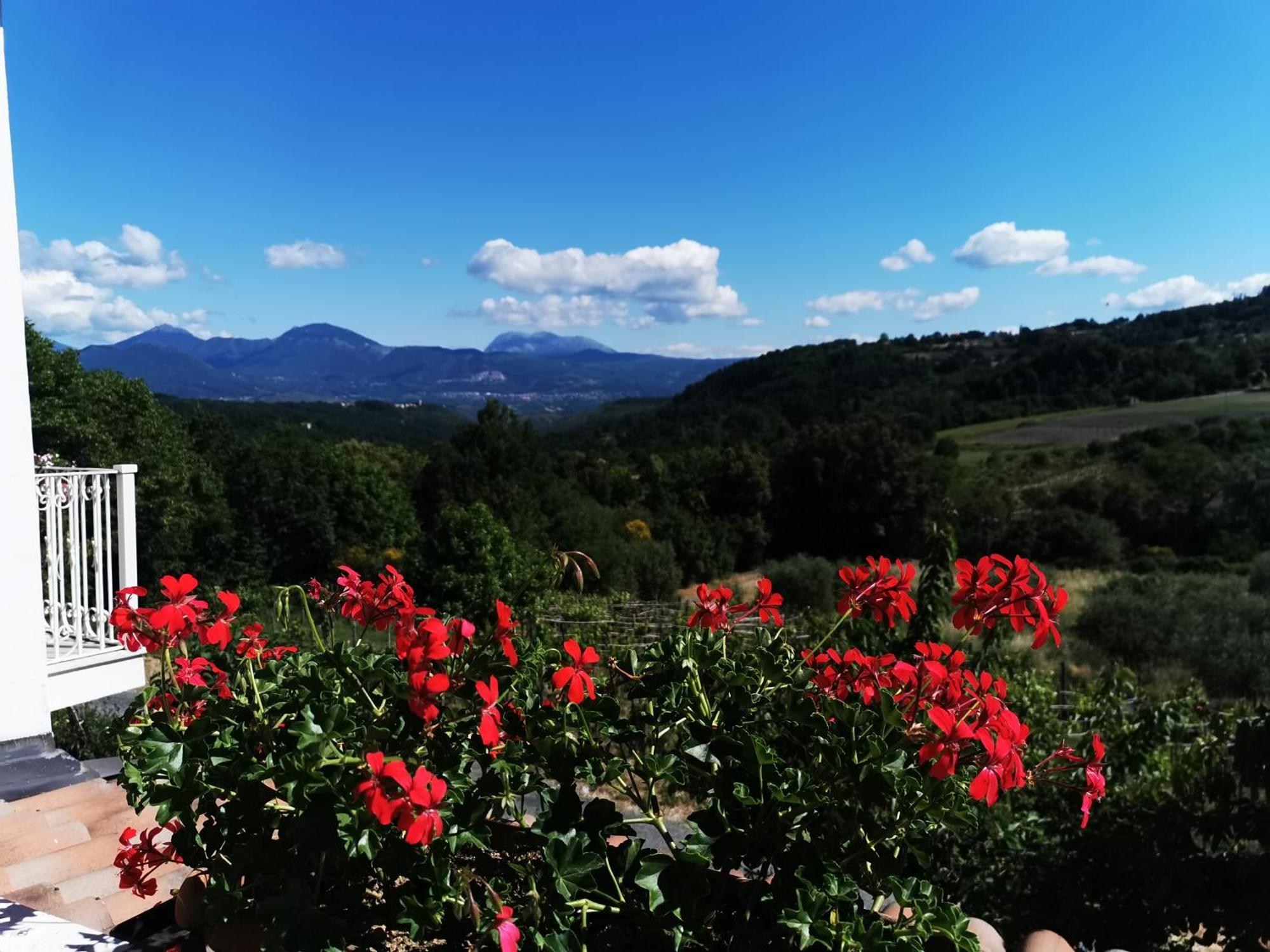 Agriturismo Donna Bianca Mormanno Exterior foto
